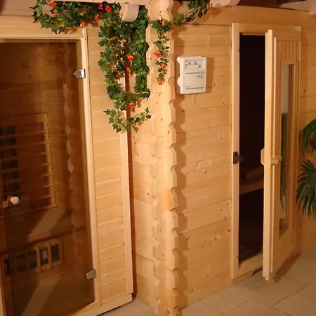 Steiner Apartmán Schladming