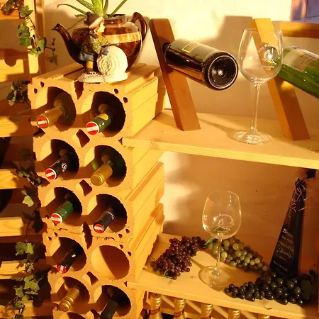 施泰纳兰德豪斯酒店 公寓 *
