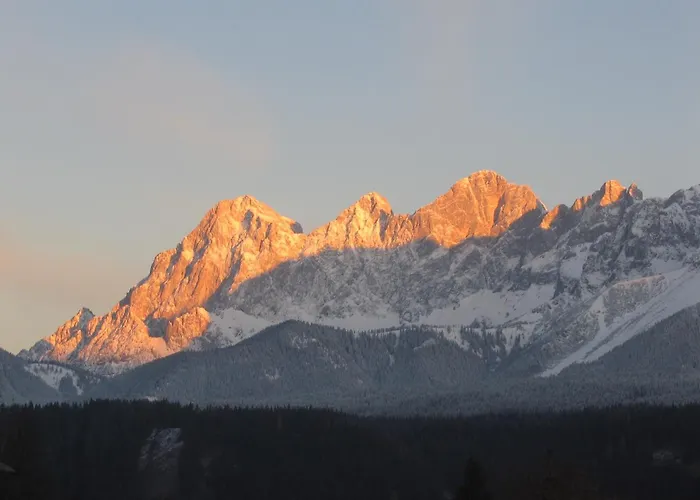 Steiner Appartement *