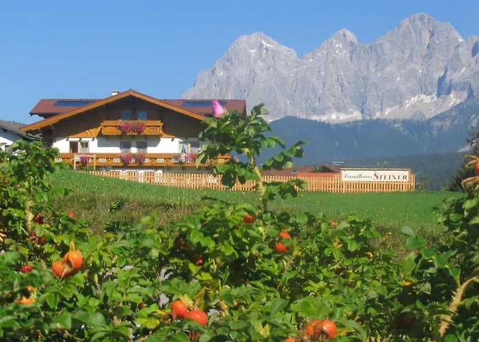 Appartement Steiner *