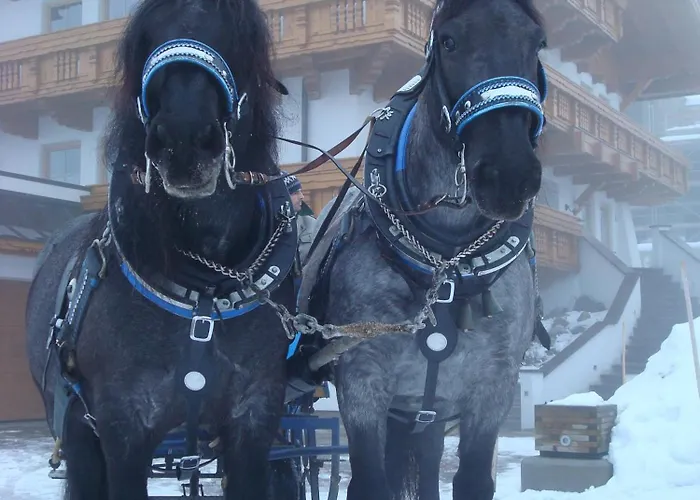 Steiner Διαμέρισμα *