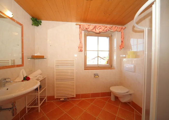 Steiner Appartement Schladming