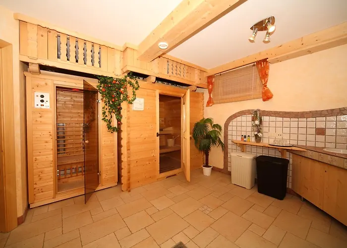 Steiner Διαμέρισμα Schladming